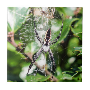 Schwarze u. gelbe fliese