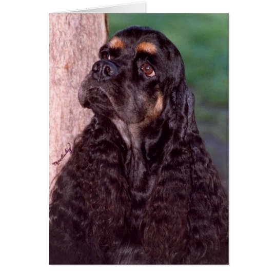 Schwarze u. tan Meister-Cocker spaniel-Grußkarte Karte