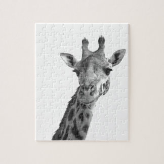 Schwarze u. weiße Giraffe