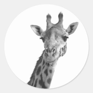 Schwarze u. weiße Giraffe Runder Aufkleber