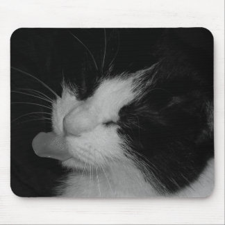 Schwarze u. weiße Katze Mousepad