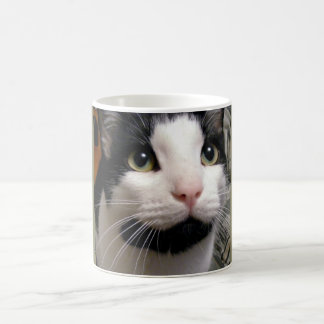 Schwarze u. weiße Katzen-Kaffeetasse Kaffeetasse