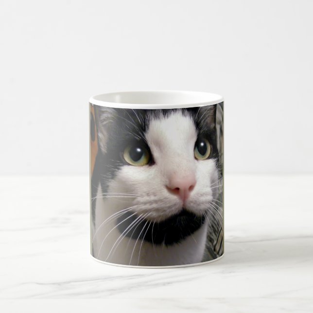 Schwarze u. weiße Katzen-Kaffeetasse Kaffeetasse (Mittel)