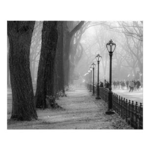Schwarze u. weiße Landschaft im Central Park Fotodruck
