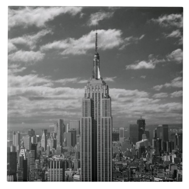 Schwarze u. weiße Landschaft von New- York Fliese (Vorderseite)
