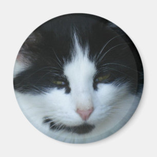Schwarze u. weiße Miezekatze-Katze Magnet