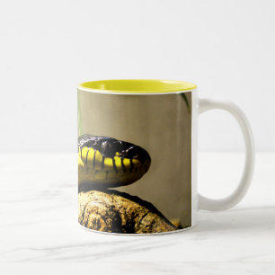 Schwarze und gelbe Schlange Zweifarbige Tasse