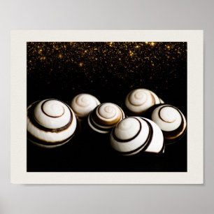Schwarze und goldene Muscheln Tropische druckbare Poster
