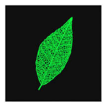 Schwarze und grüne Skelettblatt-Linienkunst