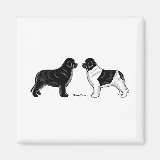Schwarze und Landseer Neufundland Hunde Magnet