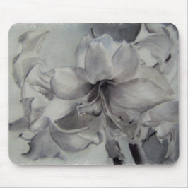 SCHWARZE UND WEISSE AMARYLLIS MOUSEPAD