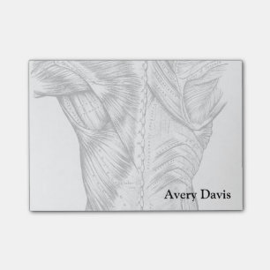 Schwarze und weiße Anatomie Art Back Muscles (1890 Post-it Klebezettel