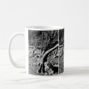 SCHWARZE UND WEISSE BÄUME KAFFEETASSE