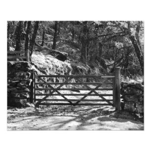 SCHWARZE UND WEISSE BÄUME UND GATE FOTODRUCK