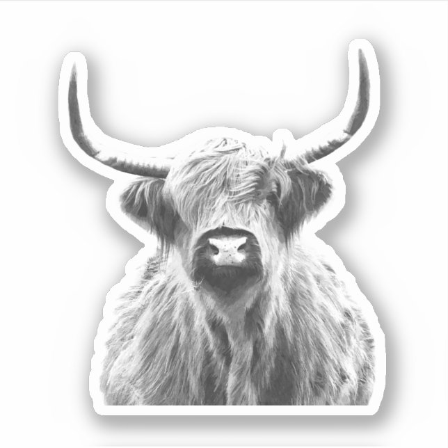 Schwarze und weiße Hochlandkuh Aufkleber (Vorderseite)