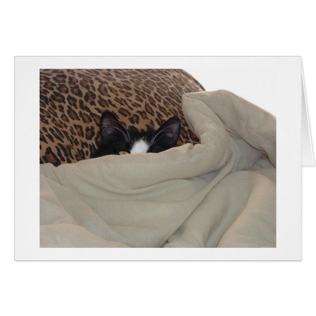 Schwarze und weiße Katze (Vorderseite (Horizontal))
