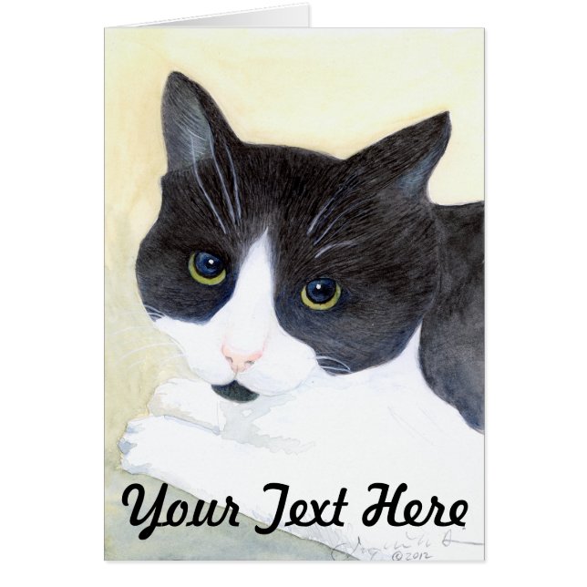 Schwarze und weiße Katze (Vorne)