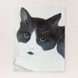 Schwarze und weiße Katze