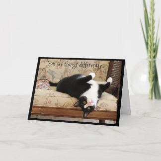 Schwarze und weiße Katze auf den Kopf Karte
