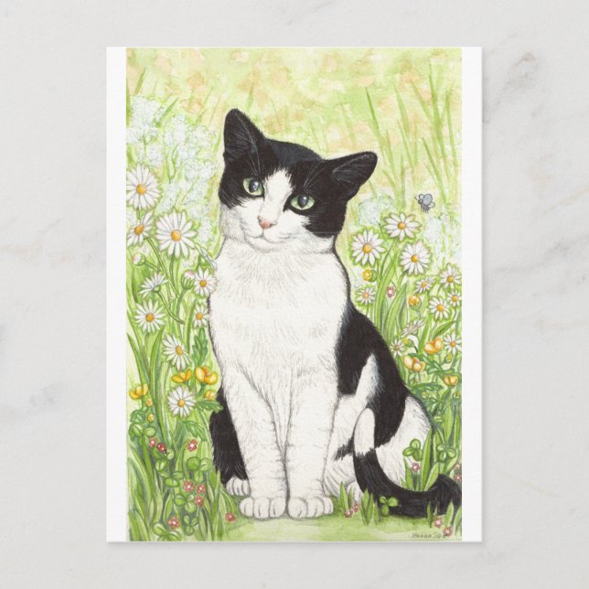 Schwarze und Weiße Katze mit Gänse Postkarte (Vorderseite)