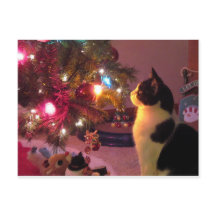 Schwarze und weiße Katze mit Weihnachtsbaum Postka