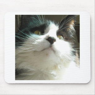Schwarze und weiße Katze Mousepad
