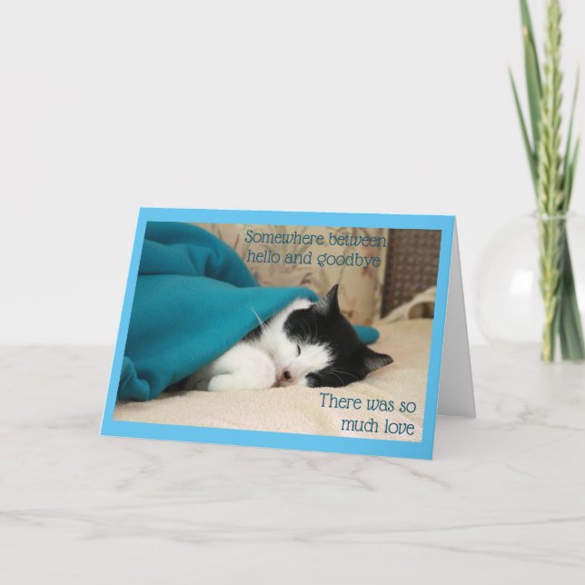 Schwarze und weiße Katze schlafen Karte (Vorderseite)