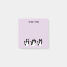 Schwarze und weiße Katzen | Drei kluge Kätzchen Li