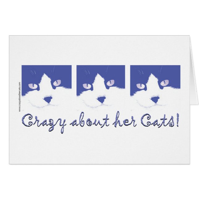 Schwarze und weiße, langhaarige Katze (Vorderseite (Horizontal))