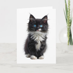 Schwarze und weiße, langhaarige katzenblaue Augen  Karte