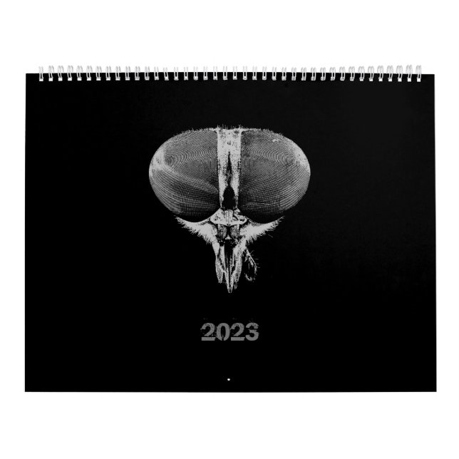 Schwarze und weiße minimalistische Insekten - Bug  Kalender (Titelbild)