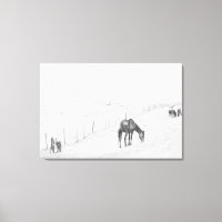 Schwarze und weiße, monochrome Wildpferde