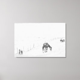 Schwarze und weiße, monochrome Wildpferde Leinwanddruck