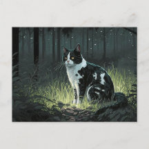 Schwarze und weiße Piebaldkat im Wald Postkarte