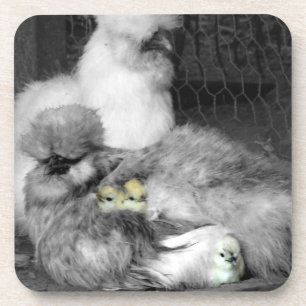 Schwarze und weiße Silkie-Hühner mit gelben Hüh Untersetzer
