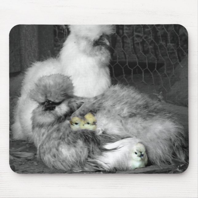 Schwarze und weiße Silkie-Hühner mit gelben Hühner Mousepad (Vorne)