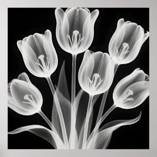 Schwarze und weiße Tulpen Elegantes Monochrom Poster