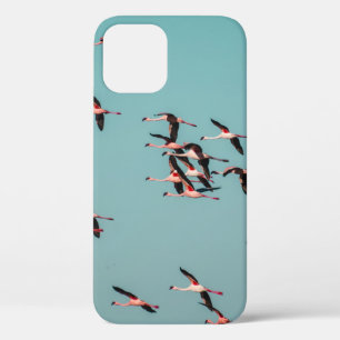 SCHWARZE UND WEISSE VÖGEL Case-Mate iPhone HÜLLE