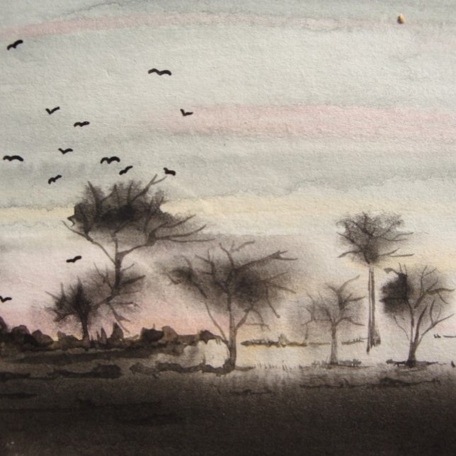 Schwarze Waldbäume Sonnenuntergang Landschaft (Von Creator hochgeladen)