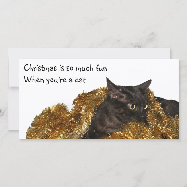 Schwarze Weihnachtskatze Feiertagskarte (Vorderseite)