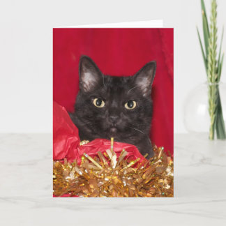 Schwarze Weihnachtskatze Feiertagskarte