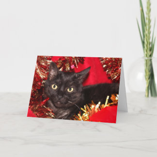 Schwarze Weihnachtskatze Feiertagskarte
