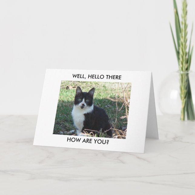 Schwarze weiße Katze N GUT HALLO DORT, WIE GEHT ES Karte (Vorderseite)