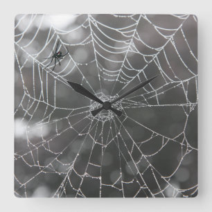 Schwarze Witwe in Spinnennetz   Halloween Quadratische Wanduhr