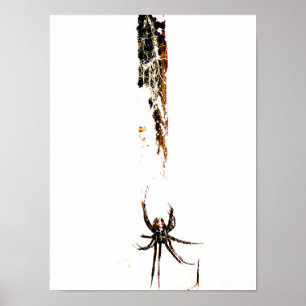 Schwarze Witwe Poster