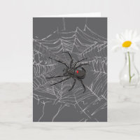 Schwarze Witwe Spiderweb Zeichnend Kunst
