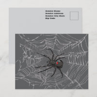 Schwarze Witwe Spiderweb Zeichnend Kunst