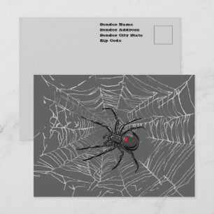 Schwarze Witwenspinne und Spinnennetz-Zeichnung Ku Postkarte
