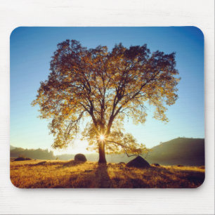 Schwarzeiche Cleveland National Forest, CA Mousepad