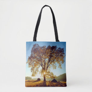 Schwarzeiche Cleveland National Forest, CA Tasche